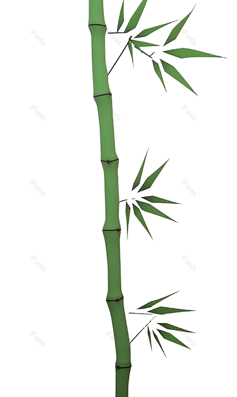 复古图片,插画元素,竹子PNG,简单免抠素材